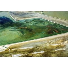 Green Pond 7