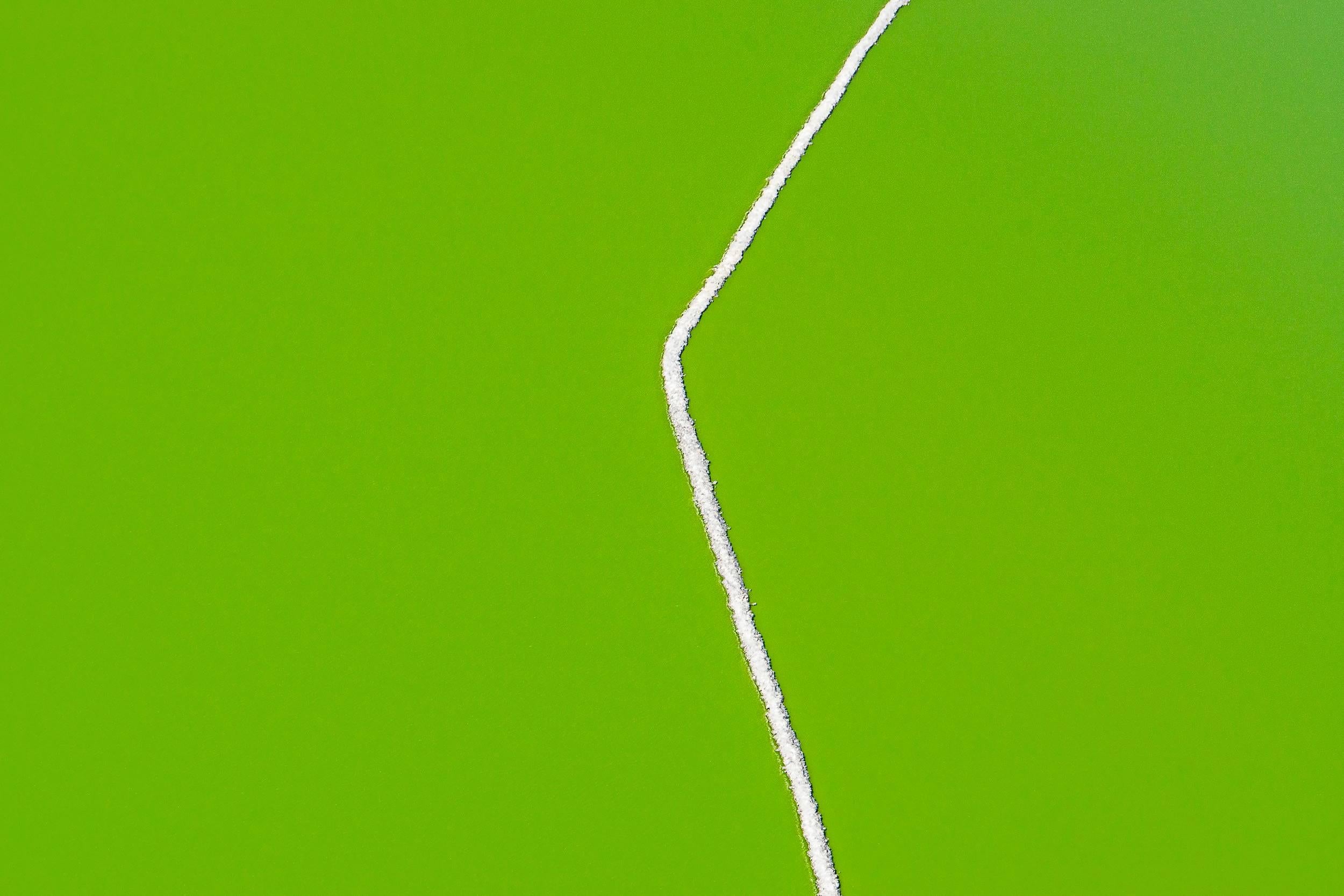 Colin McRae Abstract Photograph - White on Green