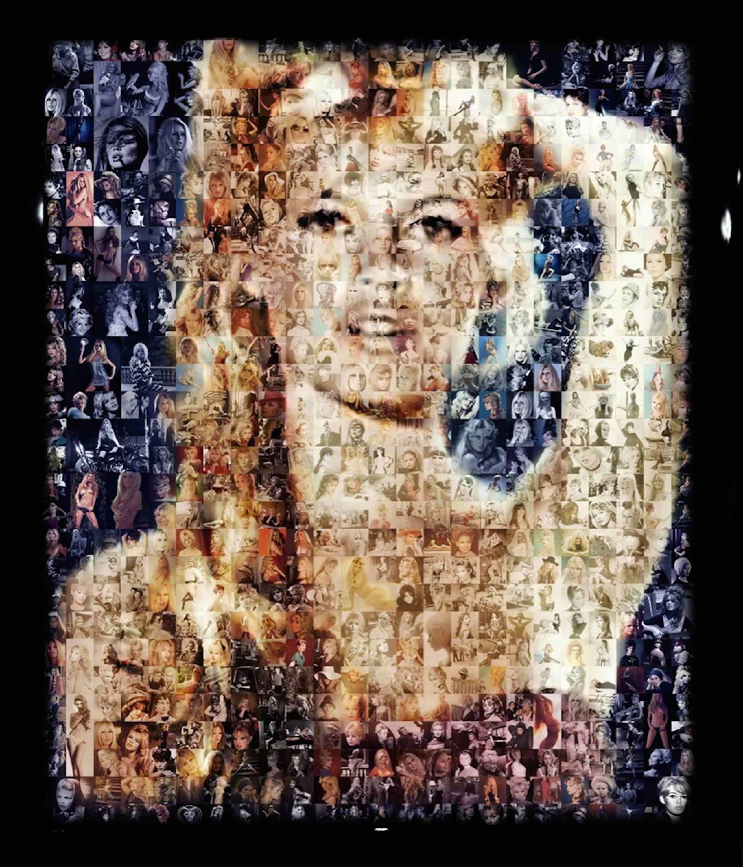 Bardot - Mixed Media Art by Jerome Lucani