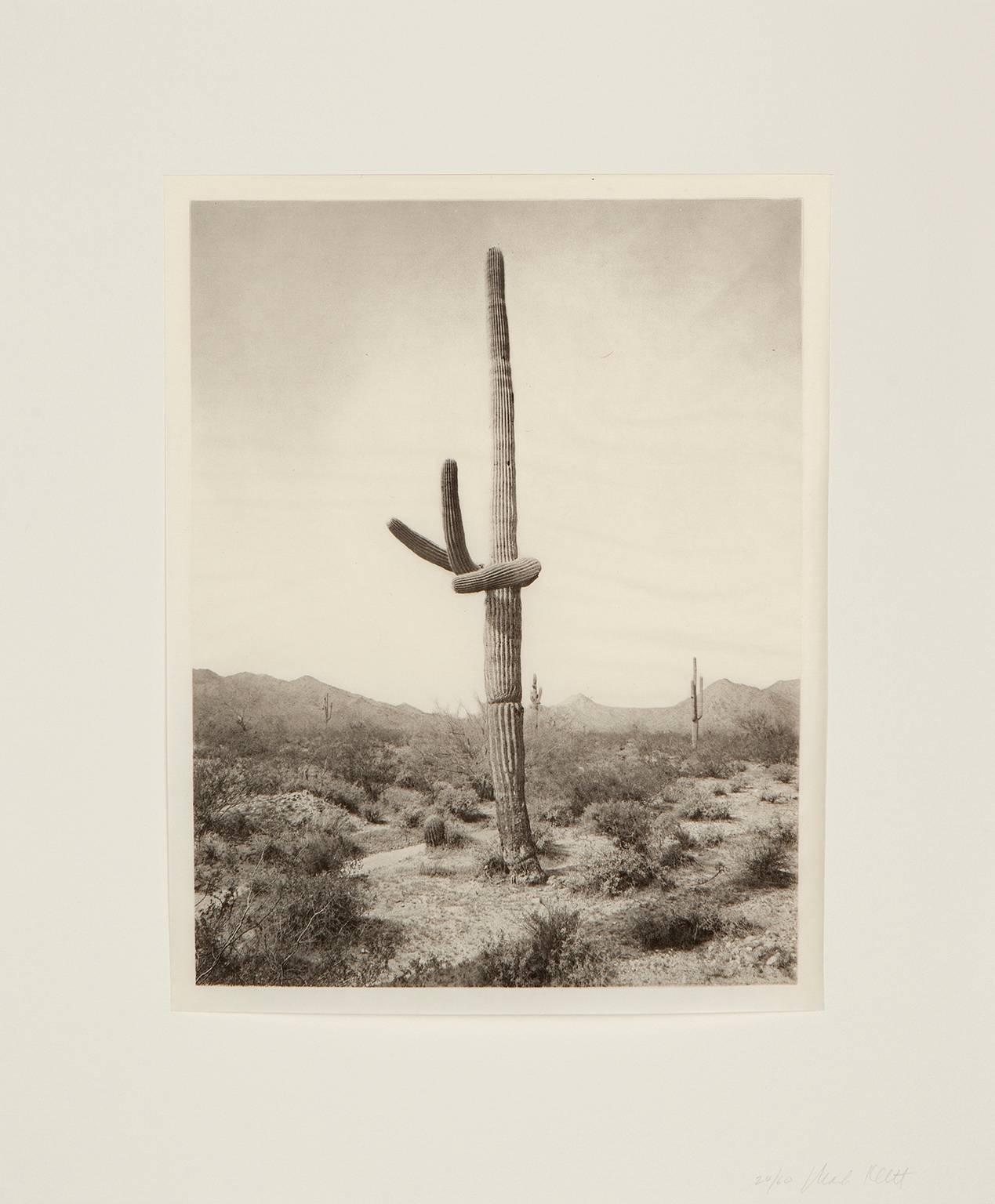 Mark Klett Figurative Print - Saguaro Diptych: 5 16-1 and 5 16-4