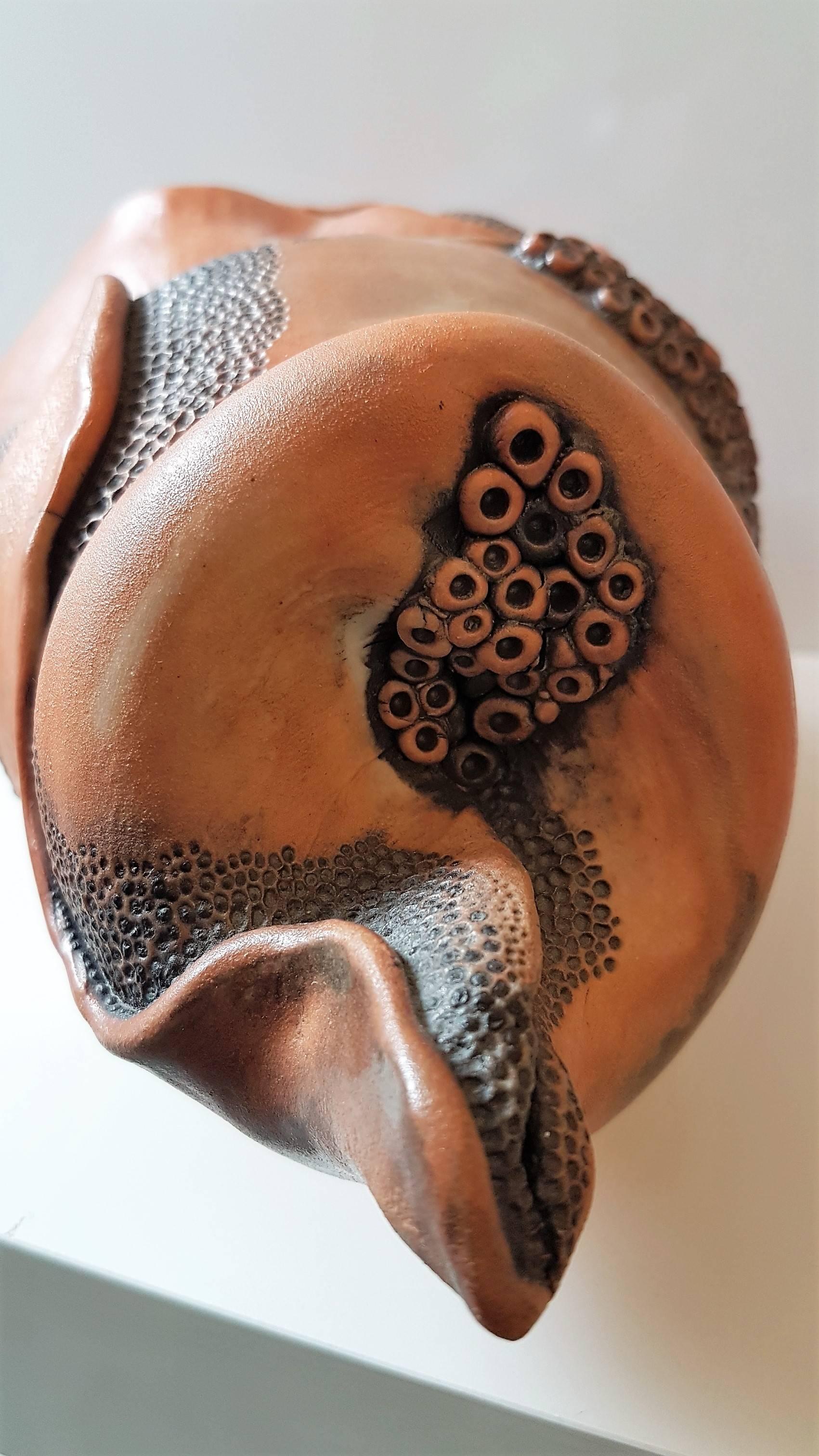 Meeresgetier (Braun), Abstract Sculpture, von Melanie Sherman