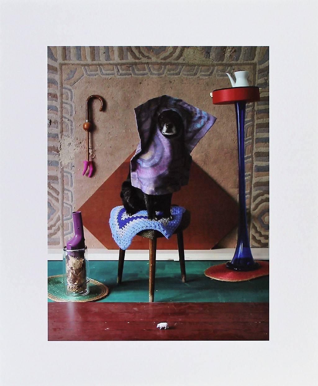 Mara van Rüdipuss - Ernie, Porträts eines Zuchthundes