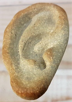 Ear (small size)