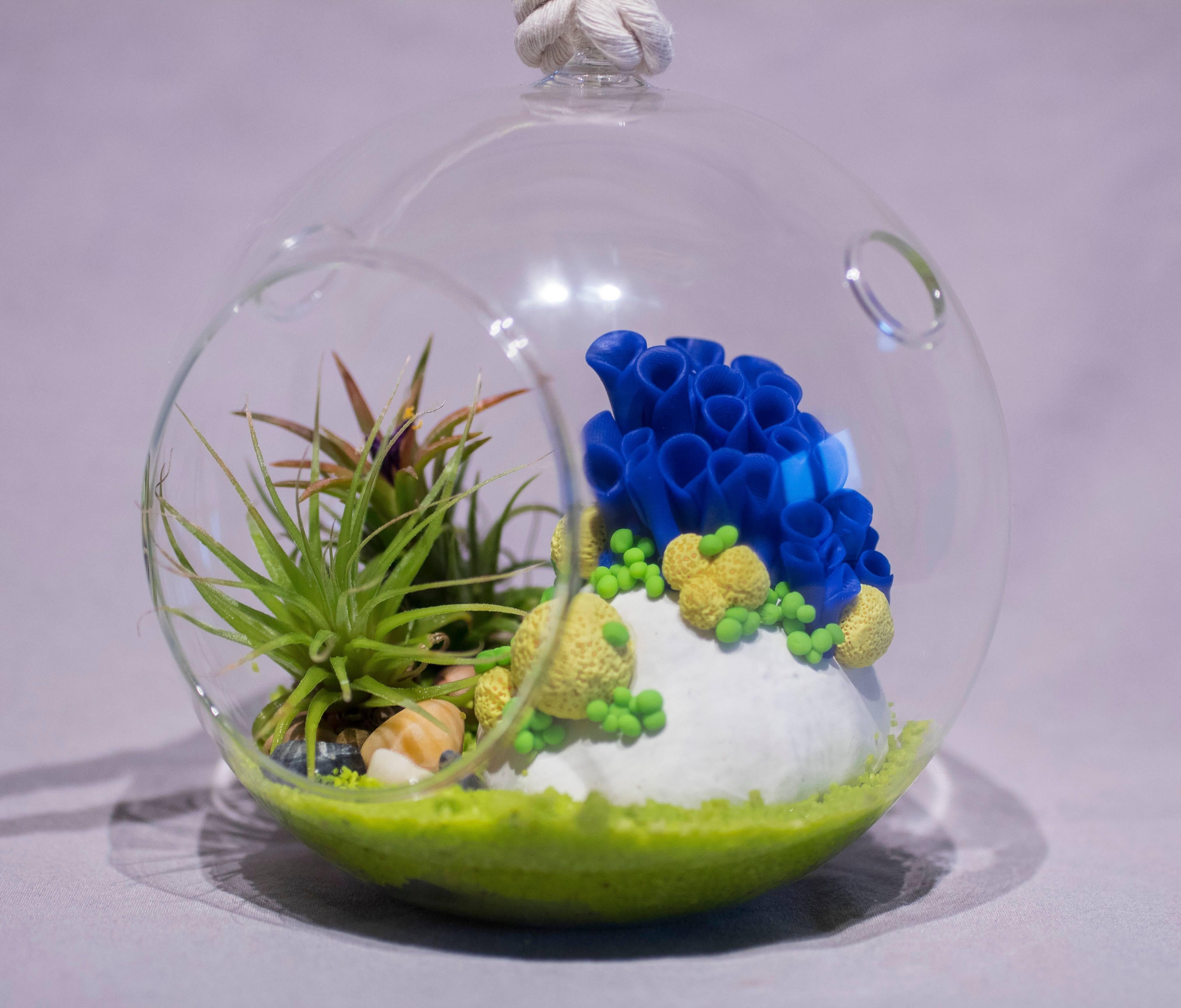 Anthozoa Terrarium (Azur) - Contemporary Sculpture by Ami Ayars