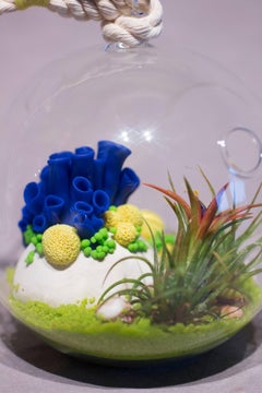 Anthozoa Terrarium (Azur)