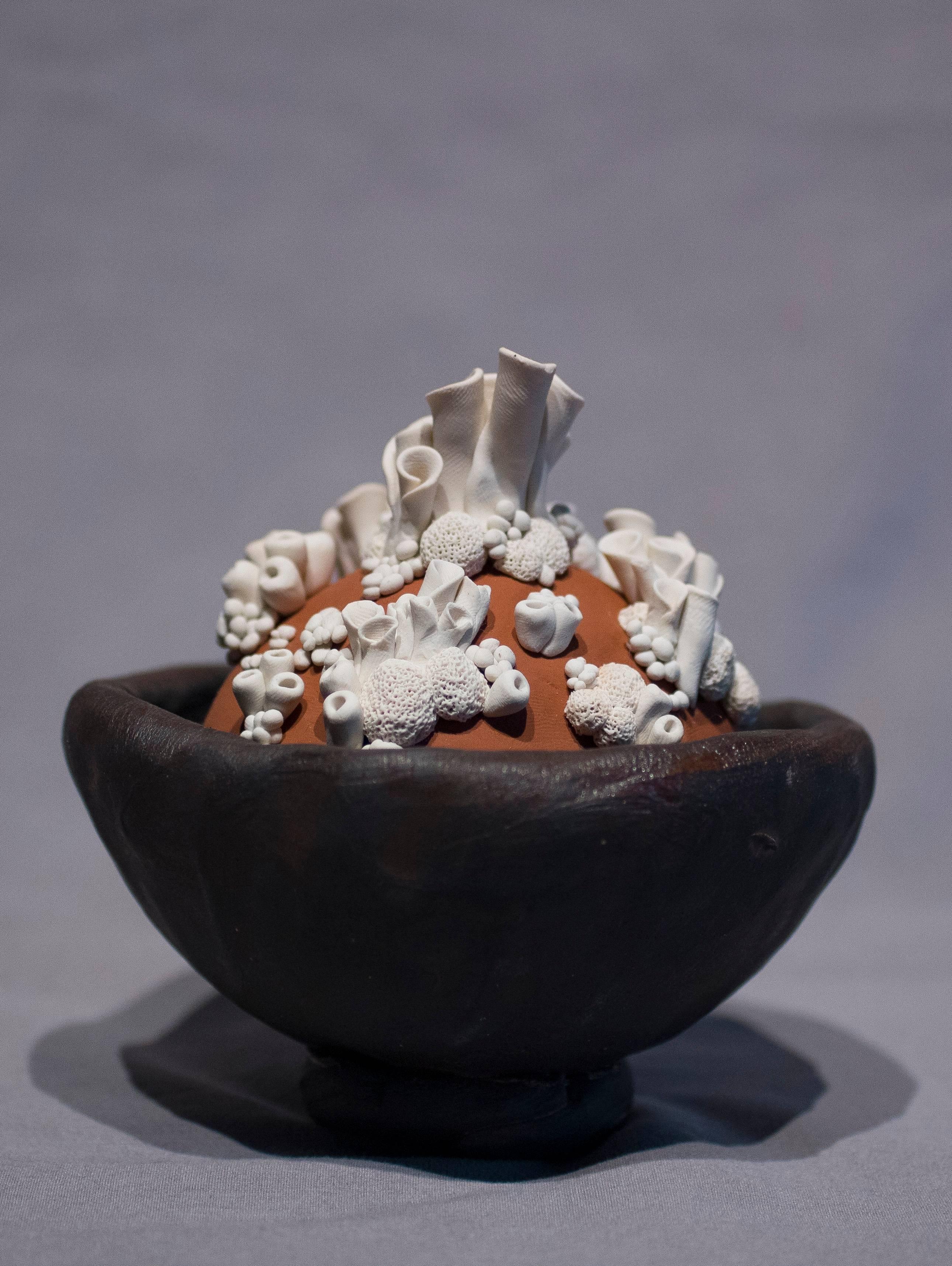 Title : Anthozoa Blanca
Materials : Black Stoneware, Oil-Based Clay and Sand
Date : 11-15-17
Dimensions : 5x5x5