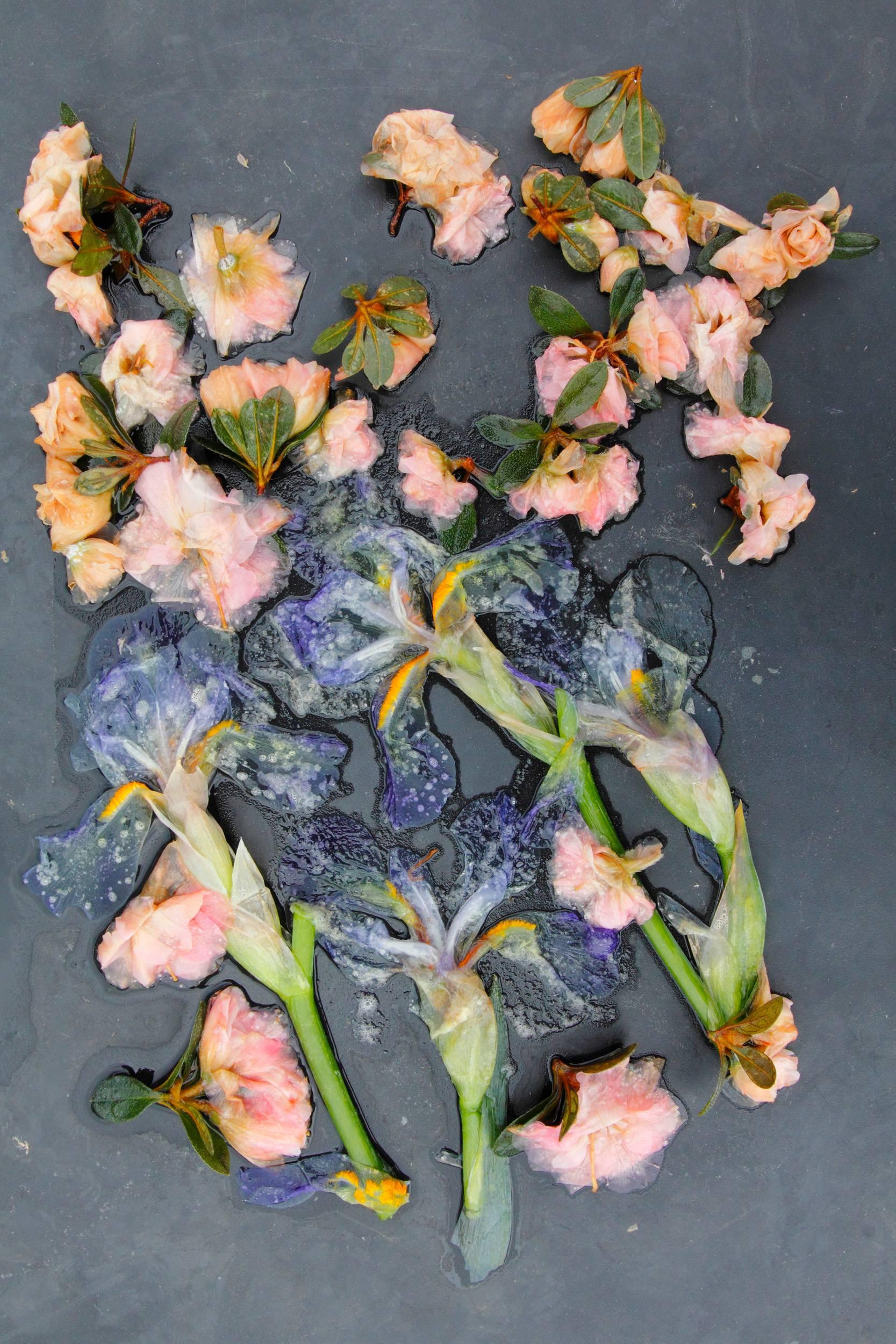 Mary Kocol Color Photograph - Irises and Azaleas, Mom's Garden
