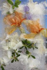 Mom's Irises and White Azalea Plate