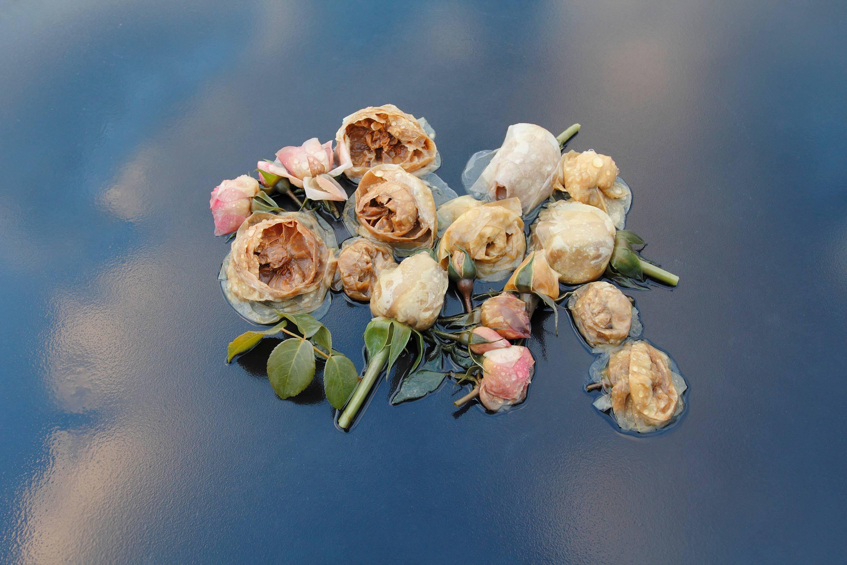 Mary Kocol Color Photograph - Roses, Table, Sky (from the Ghost Garden series)