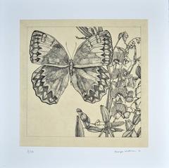 untitled (Butterlies)
