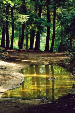 Used Mud Puddle; Cielo, Burnsville, NC- Photograph