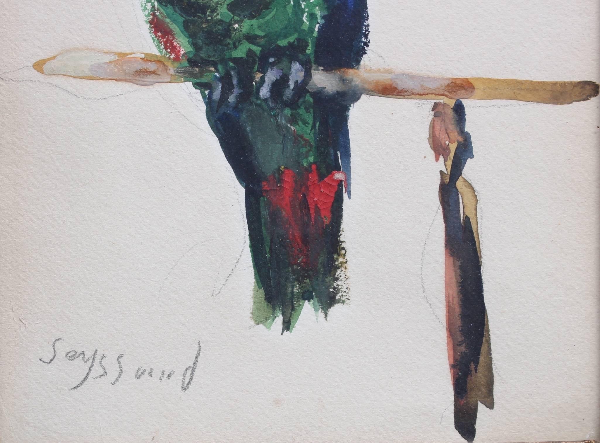 'The Parakeet' by René Seyssaud, Watercolour Bird Portrait Painting, c. 1930s 2