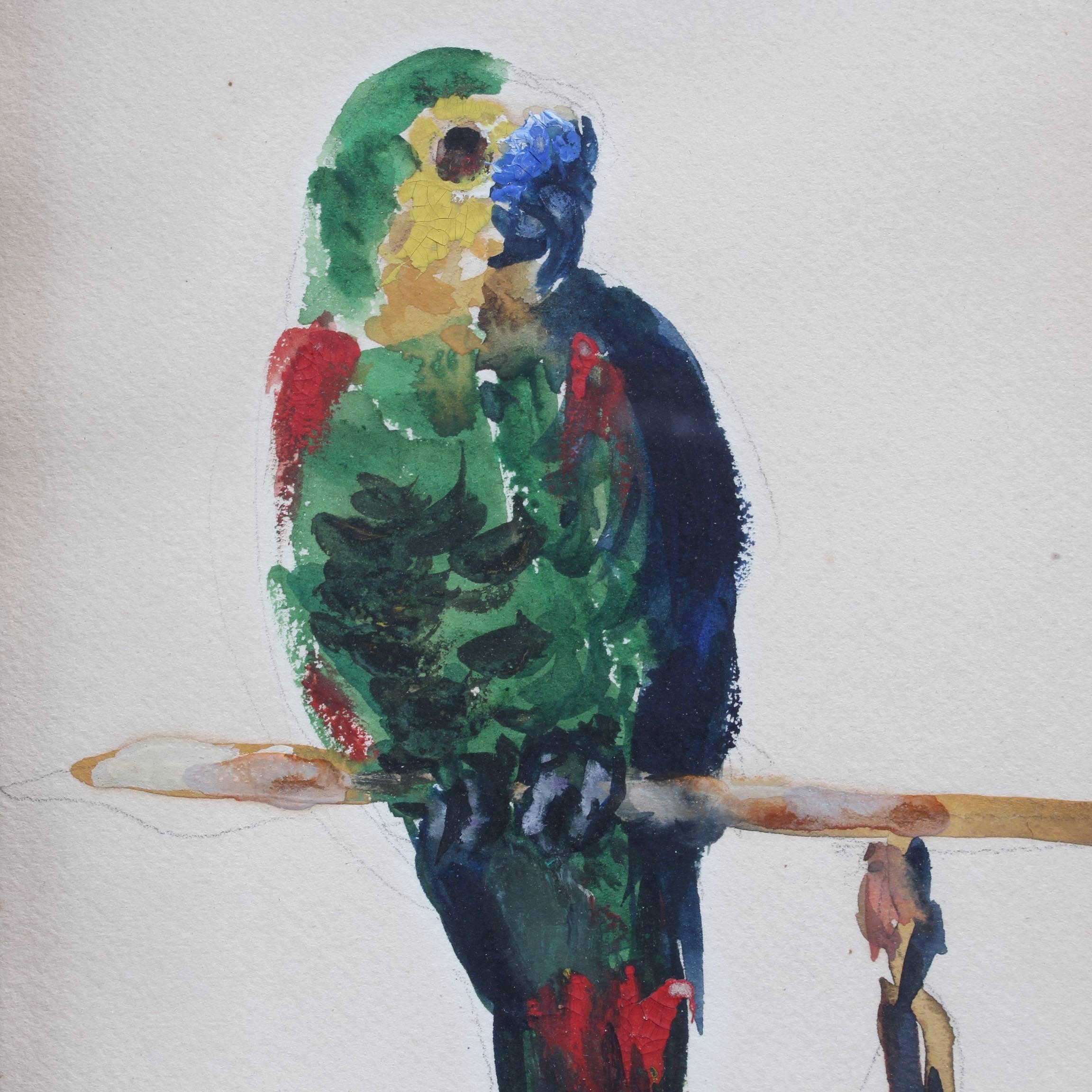 'The Parakeet' by René Seyssaud, Watercolour Bird Portrait Painting, c. 1930s 4