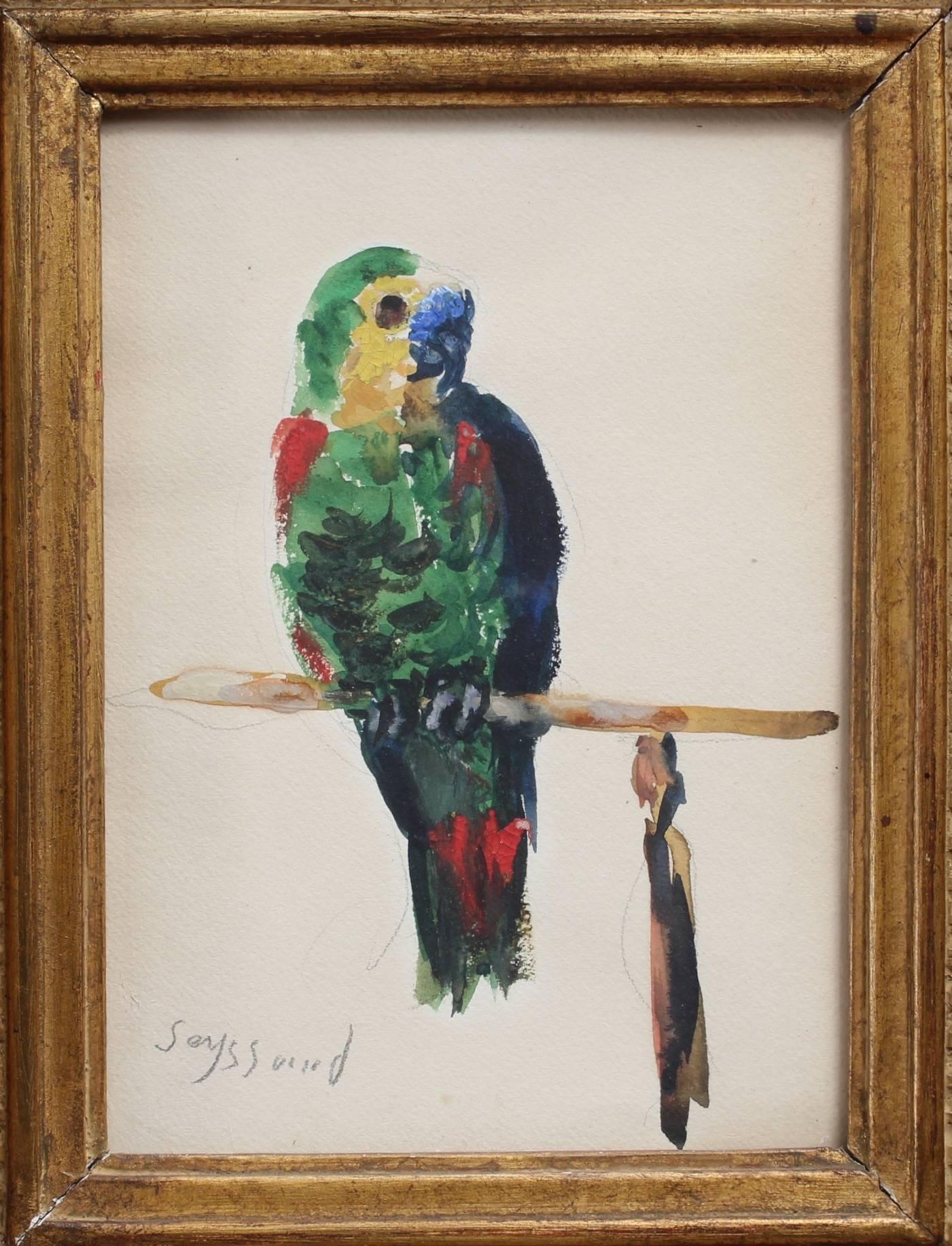 'The Parakeet' by René Seyssaud, Watercolour Bird Portrait Painting, c. 1930s 1