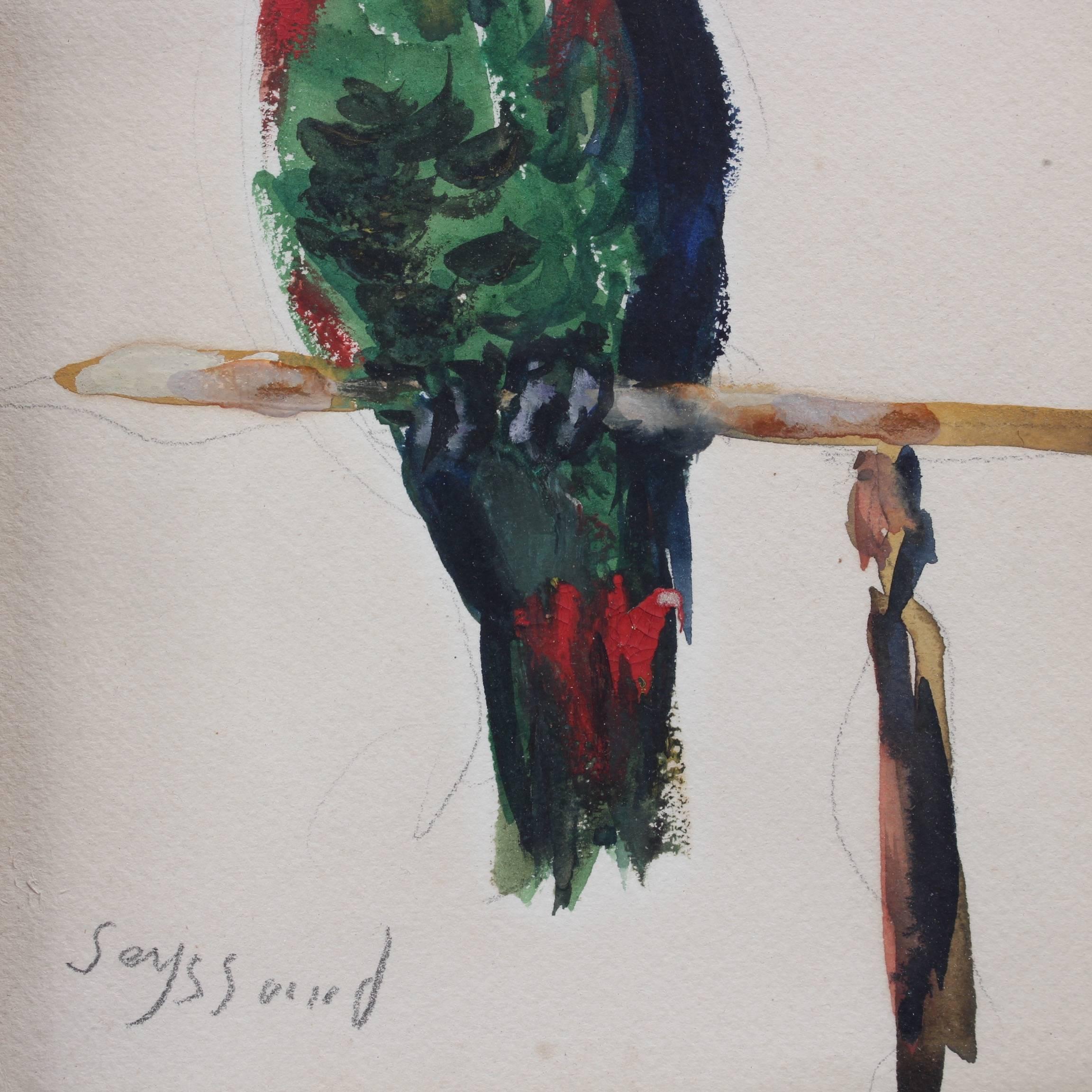 'The Parakeet' by René Seyssaud, Watercolour Bird Portrait Painting, c. 1930s 5