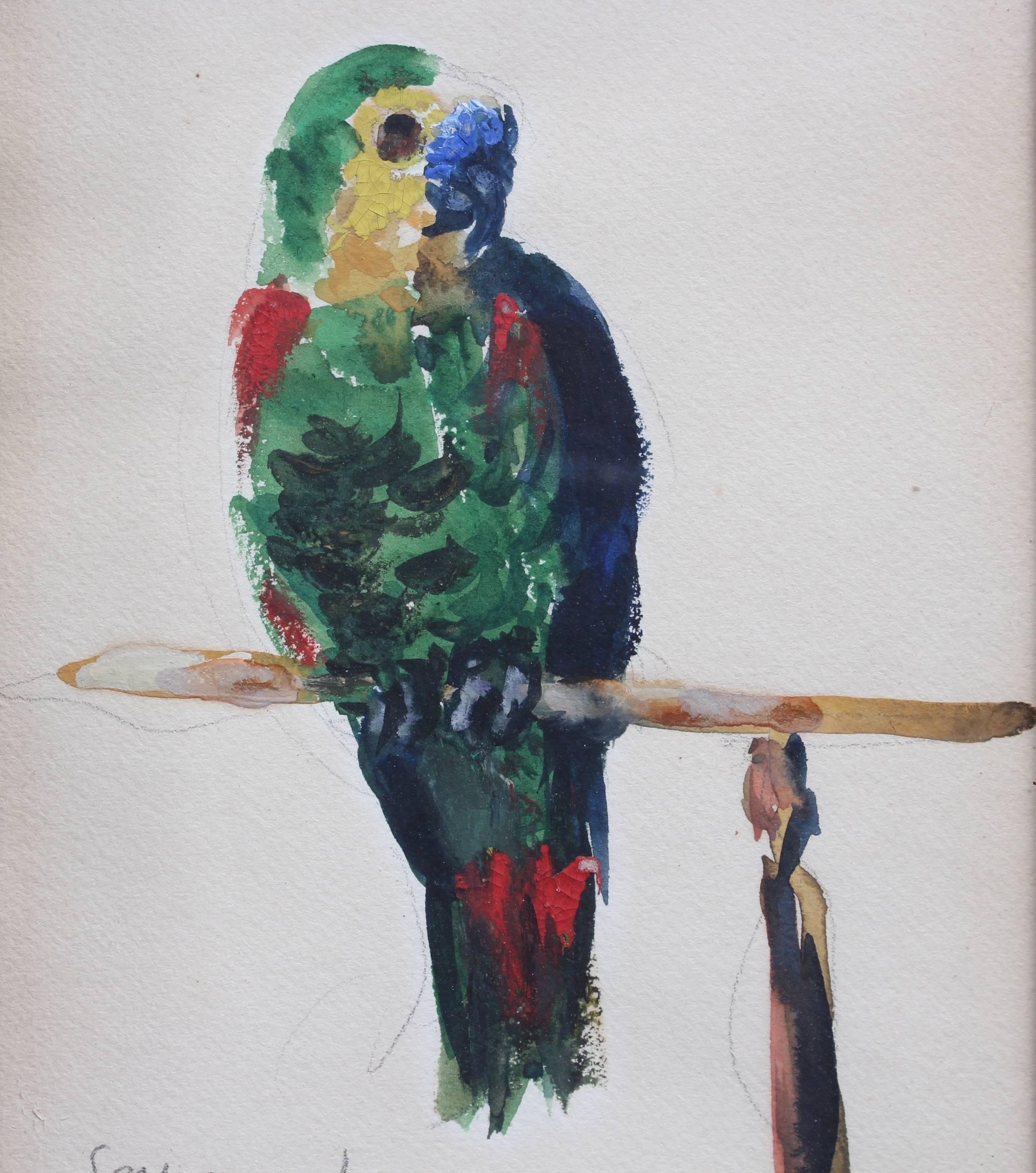 'The Parakeet' by René Seyssaud, Watercolour Bird Portrait Painting, c. 1930s 3