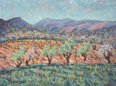 Un olivar a los pies de las colinas de Provenza