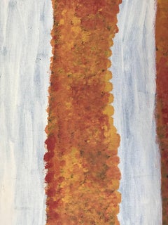 Para - Ghost Gum Trees