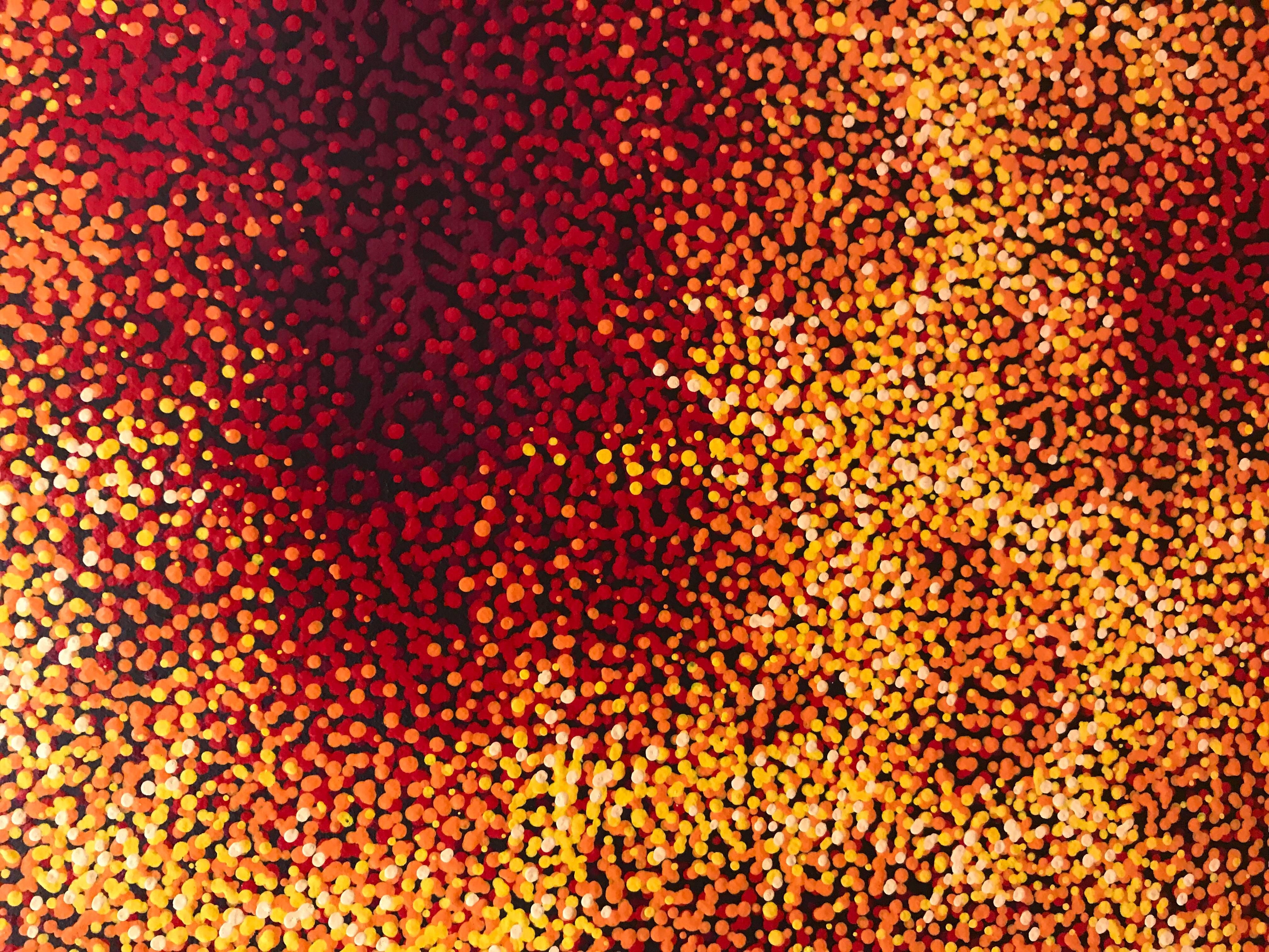 This painting represents a Fire Dreaming Ceremony, where Tarisse employs intense reds, oranges and yellows depicting a sacred burning of the land as a religious ritual. Tarisse’s father had told her that fire was the element that connected her to