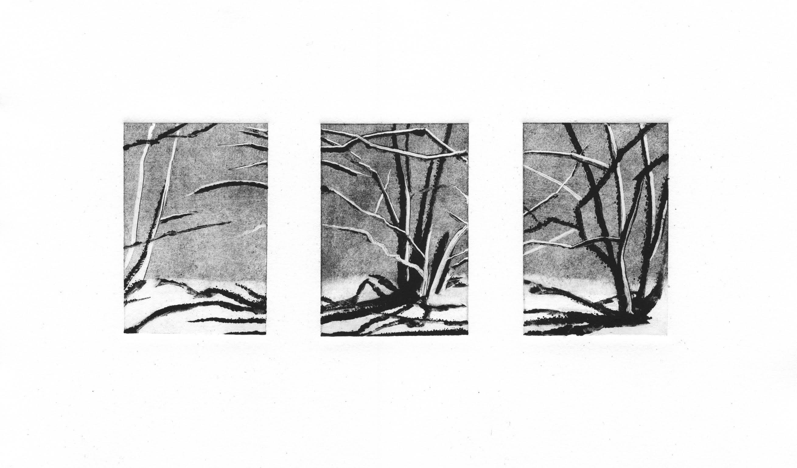 Branches  - Print by Rachel Burgess