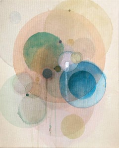Day Map S617