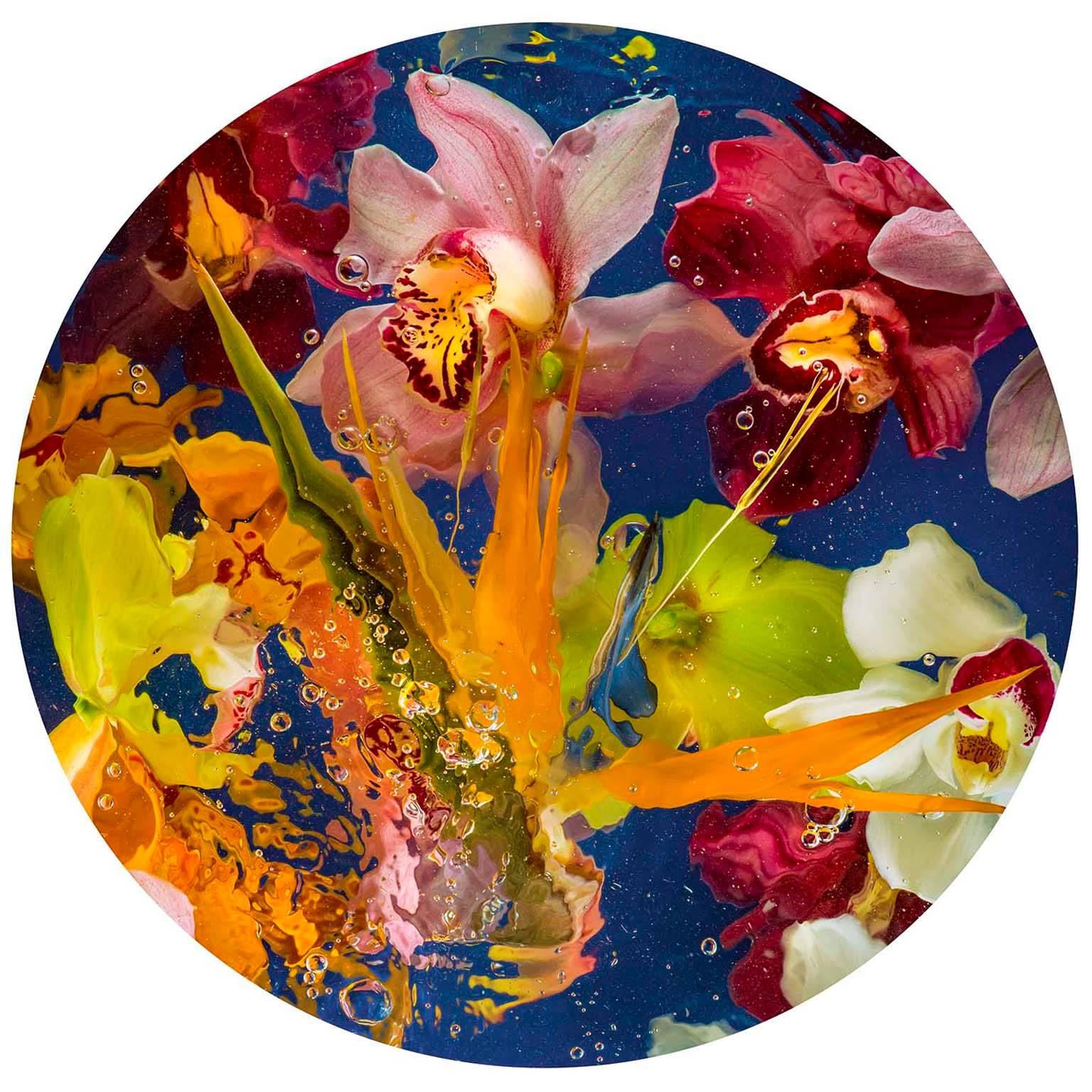 'Aqua Flora No.3' is a limited edition archival metallic c-type photographic print and is diasec mounted featuring beautiful photographed flowers and bubbles. This contemporary piece of photography is signed by the artist himself, Allan Forsyth, and
