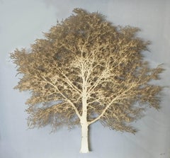 Gold Oak Tree