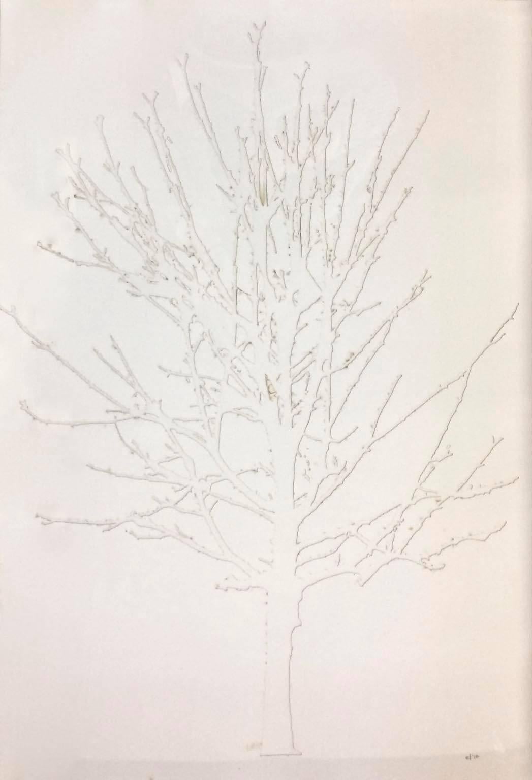 White Tree - Mixed Media Art by Emma Levine