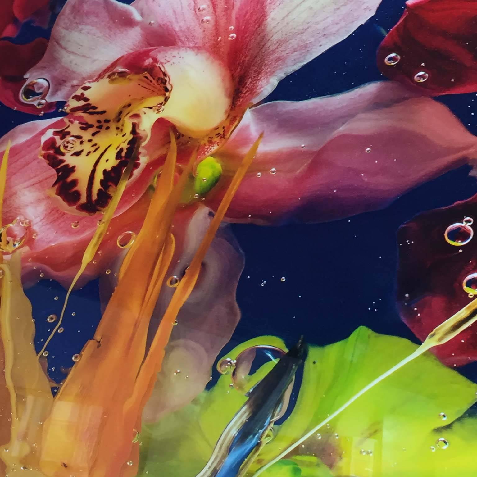 Aqua Flora No.3, Allan Forsyth, Still Life art, Colourful art, Floral Art 3