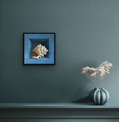 Seashell Safe and Sound - #207, Original painting, shell, sea
