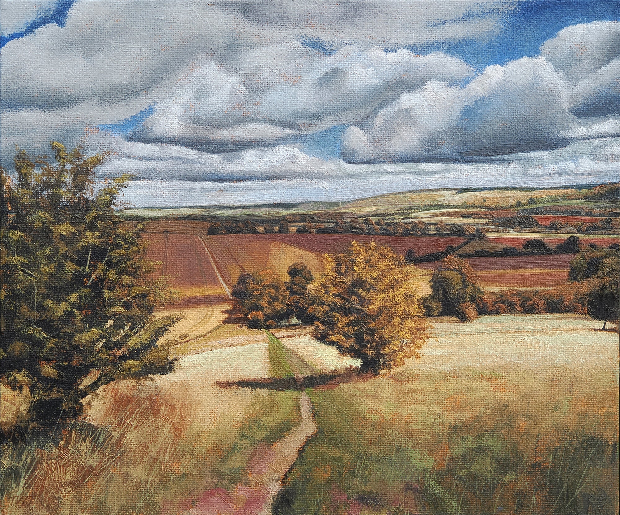 Near Whipsnade, landscape, figurative, contemporary, oil on board, sky, view