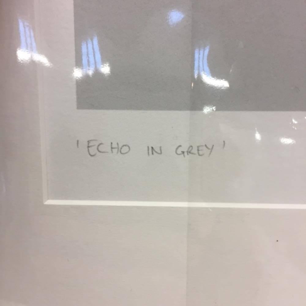Echo in Grey (Zeitgenössisch), Print, von Jason Keeley