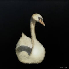'Swan 8 x 8' Mixed Media on Board Animal Painting