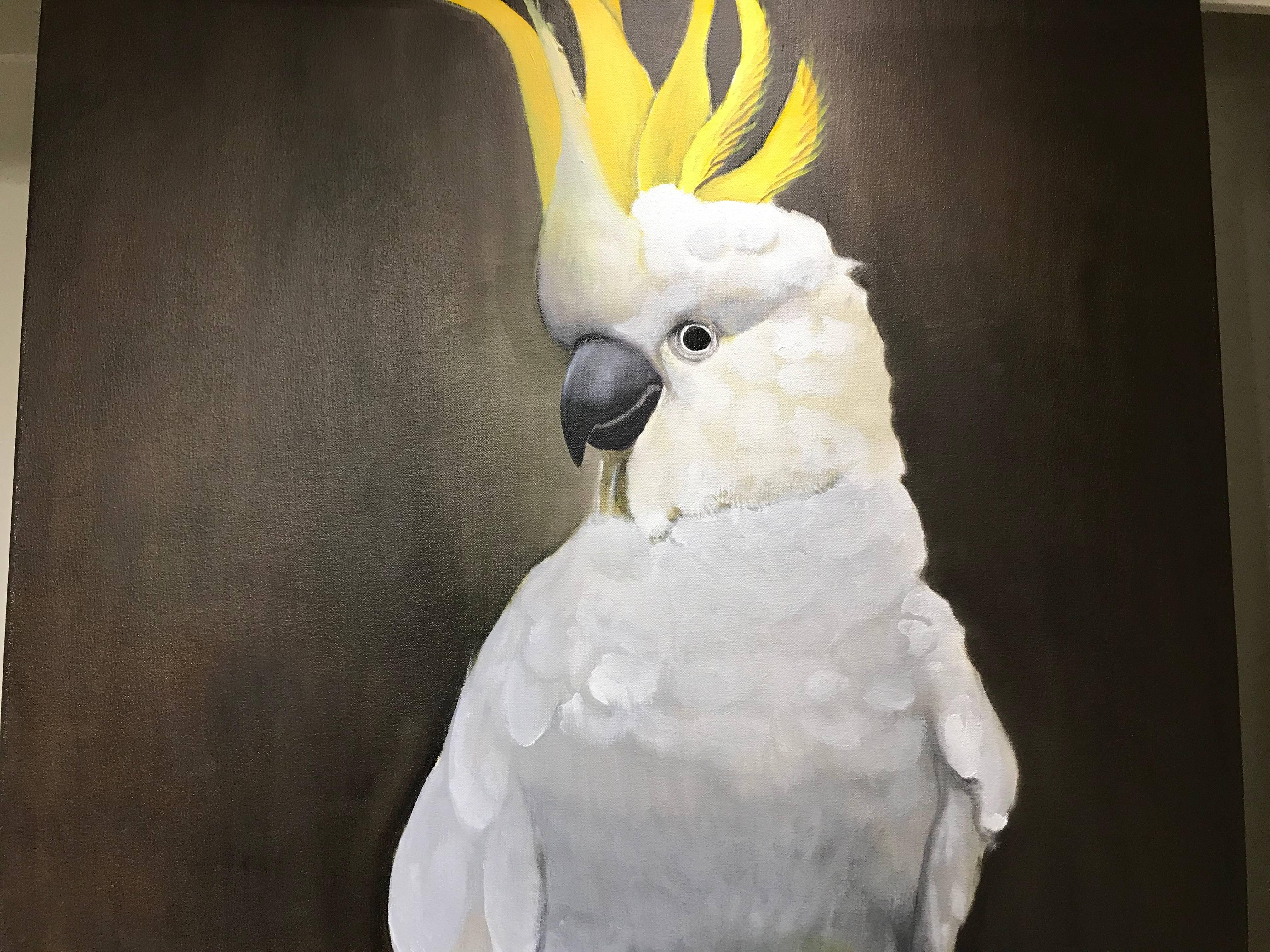 cockatoo paintings on canvas