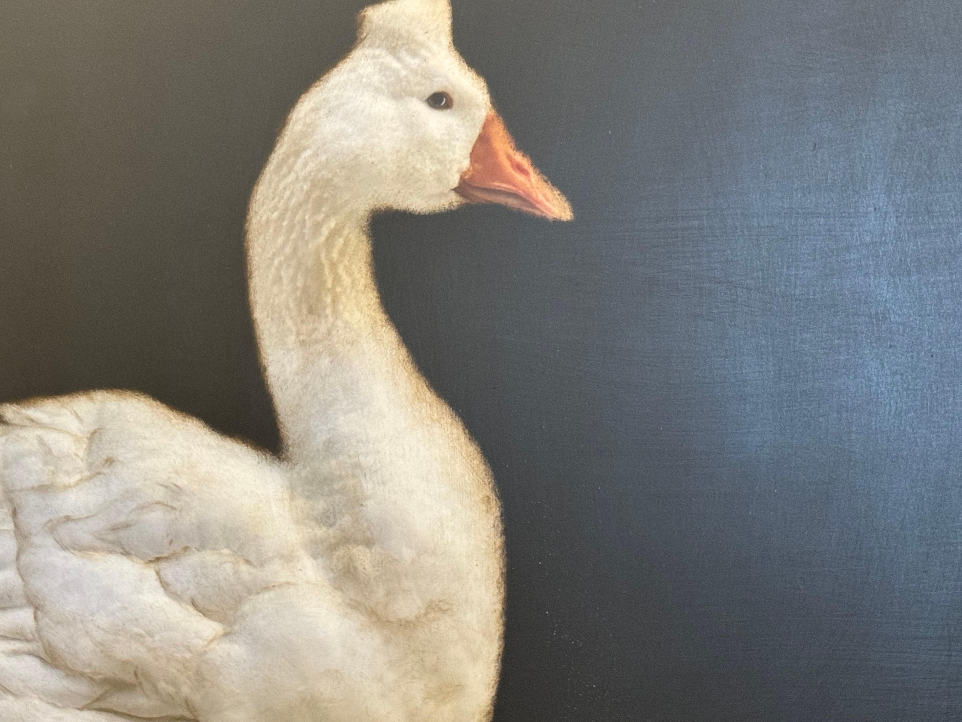Graceful Goose by Dawne Raulet Oca contemporanea a tecnica mista, Whiting, Black 3