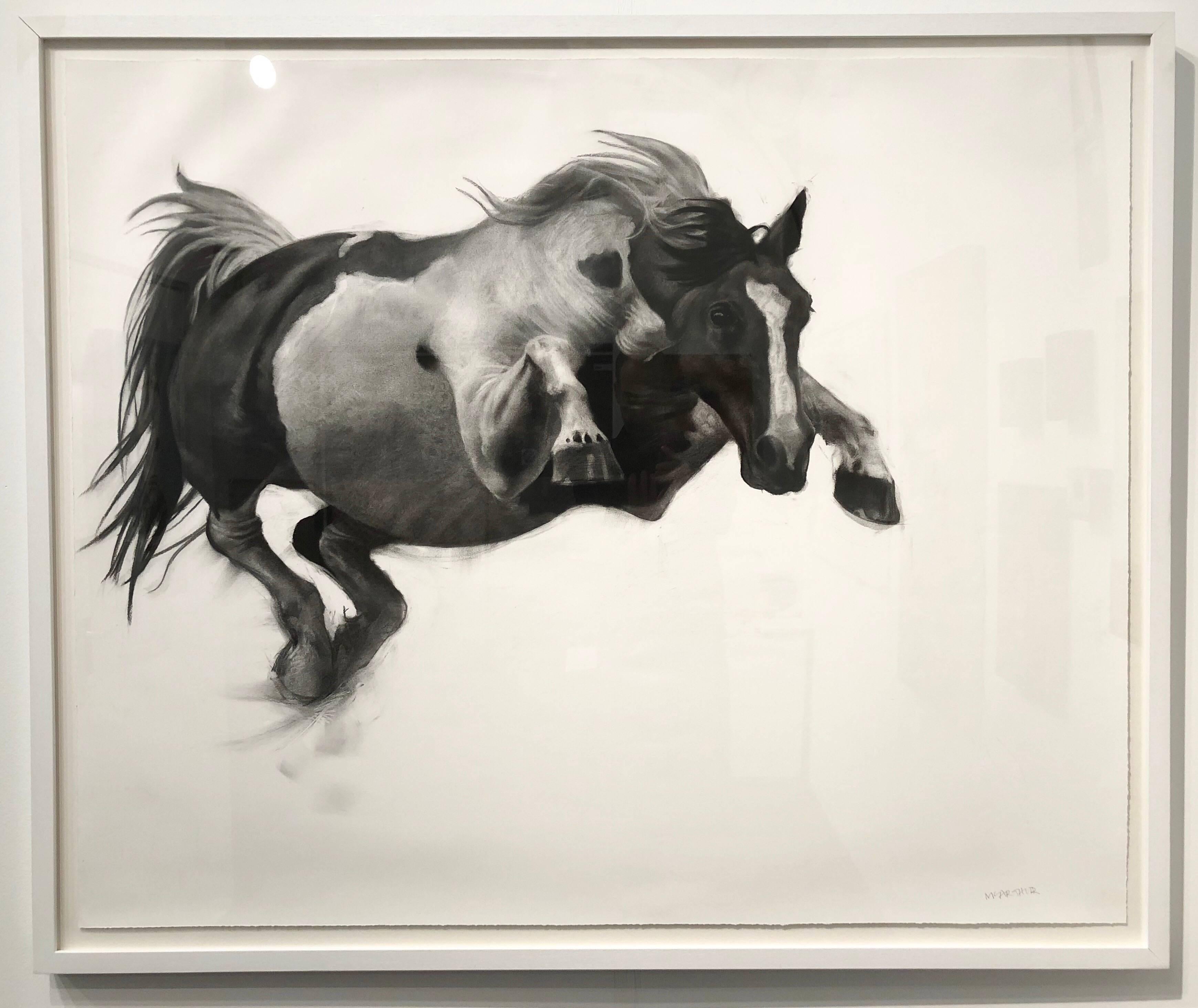 charcoal horse drawings