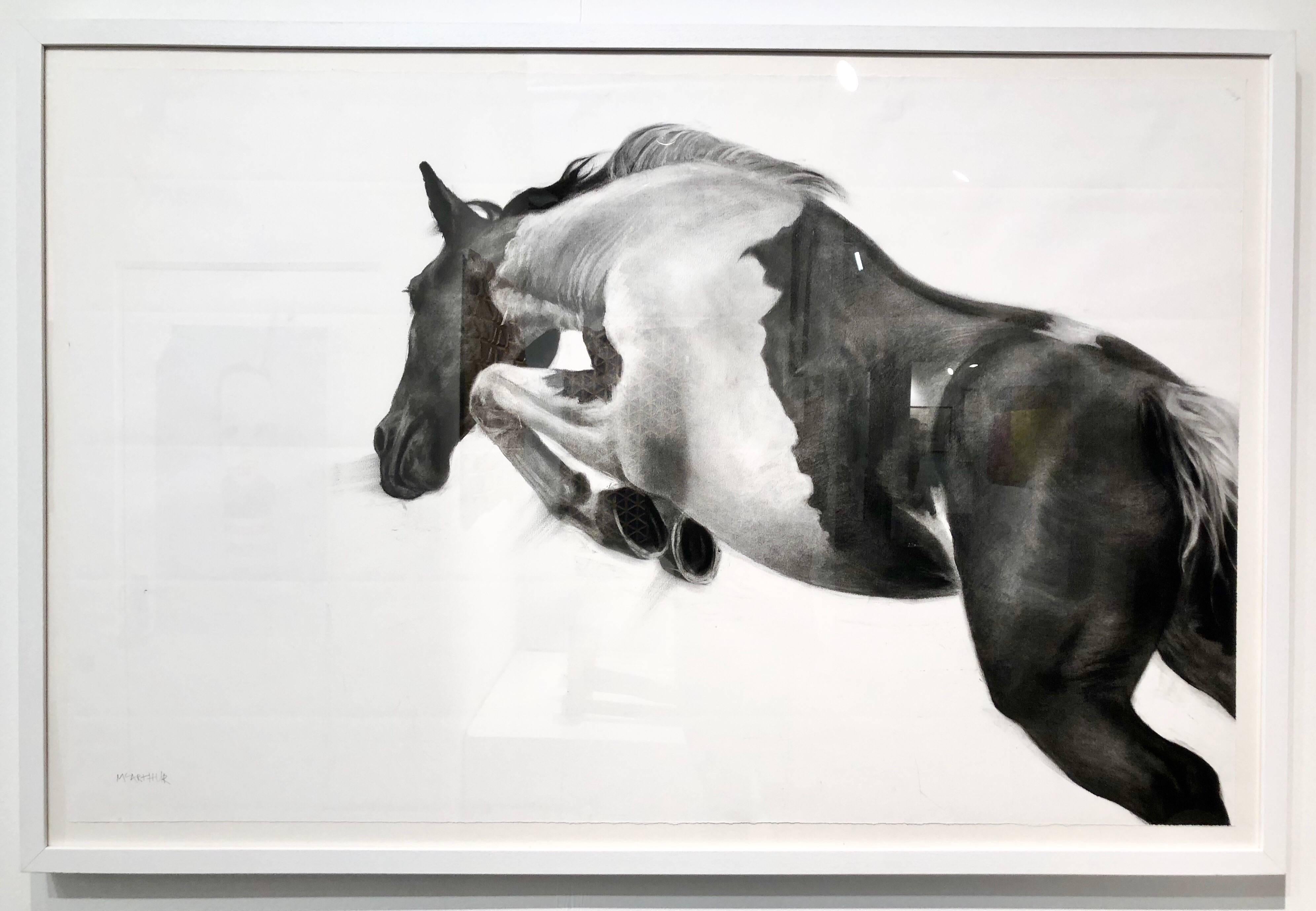 The Great Escape by Patsy McArthur - unique charcoal on paper - white box frame