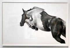 The Great Escape by Patsy McArthur - unique charcoal on paper - white box frame 