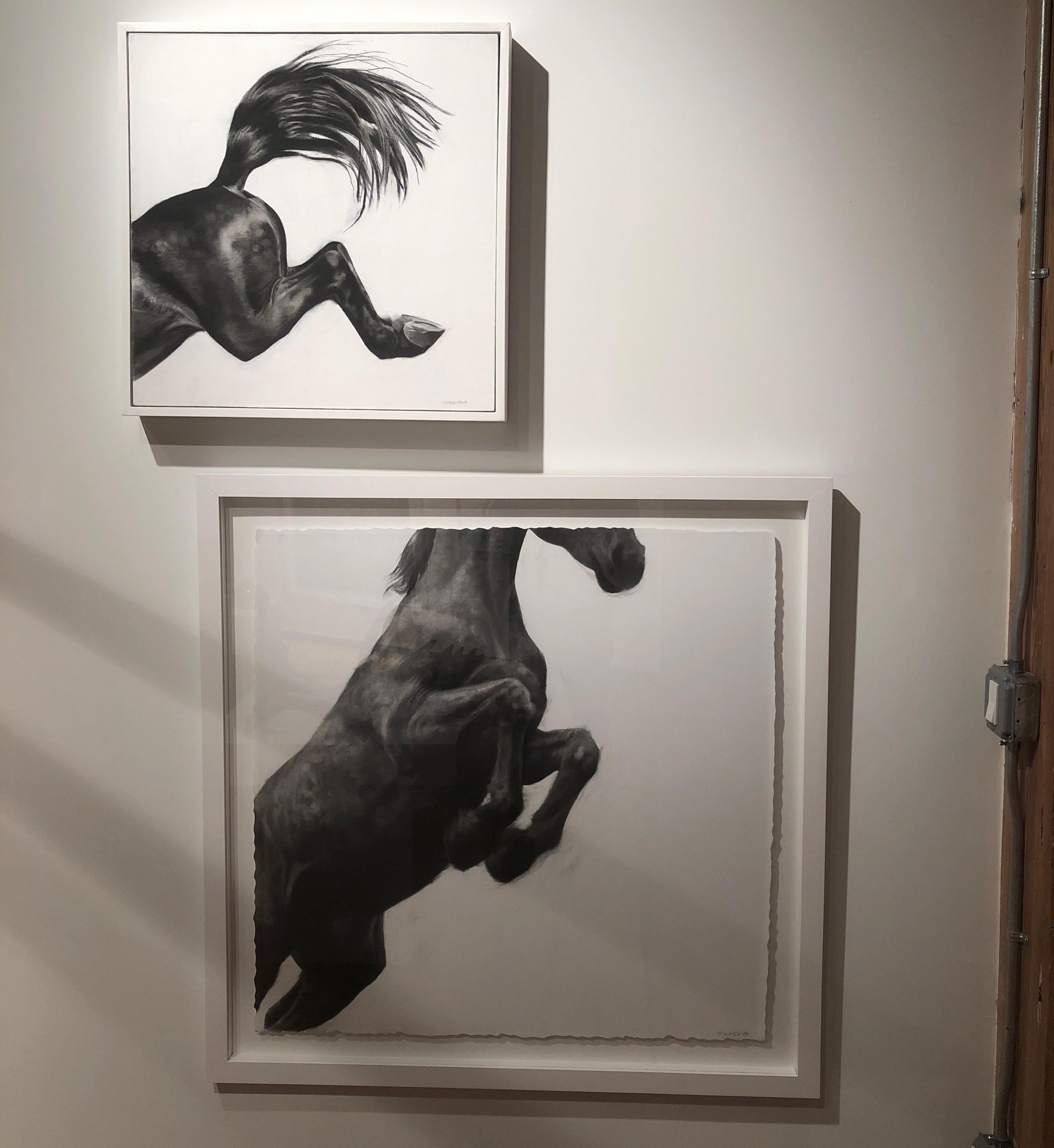 Over the Edge, Horse art by Patsy McArthur, Charcoal, gesso and acrylic on wood 1