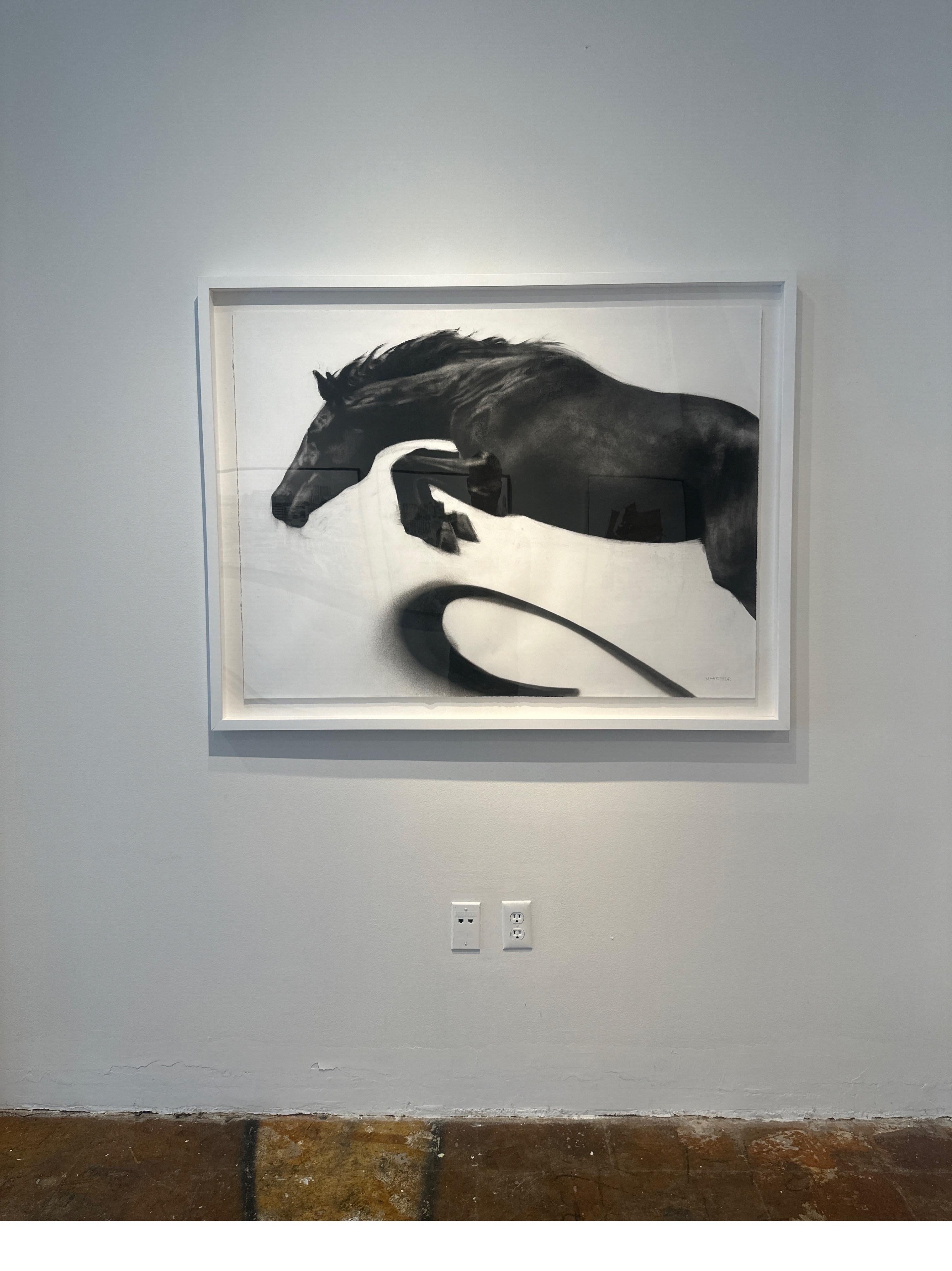 Momentum, dynamic realistic Horse drawing, charcoal on paper - white box frame For Sale 5