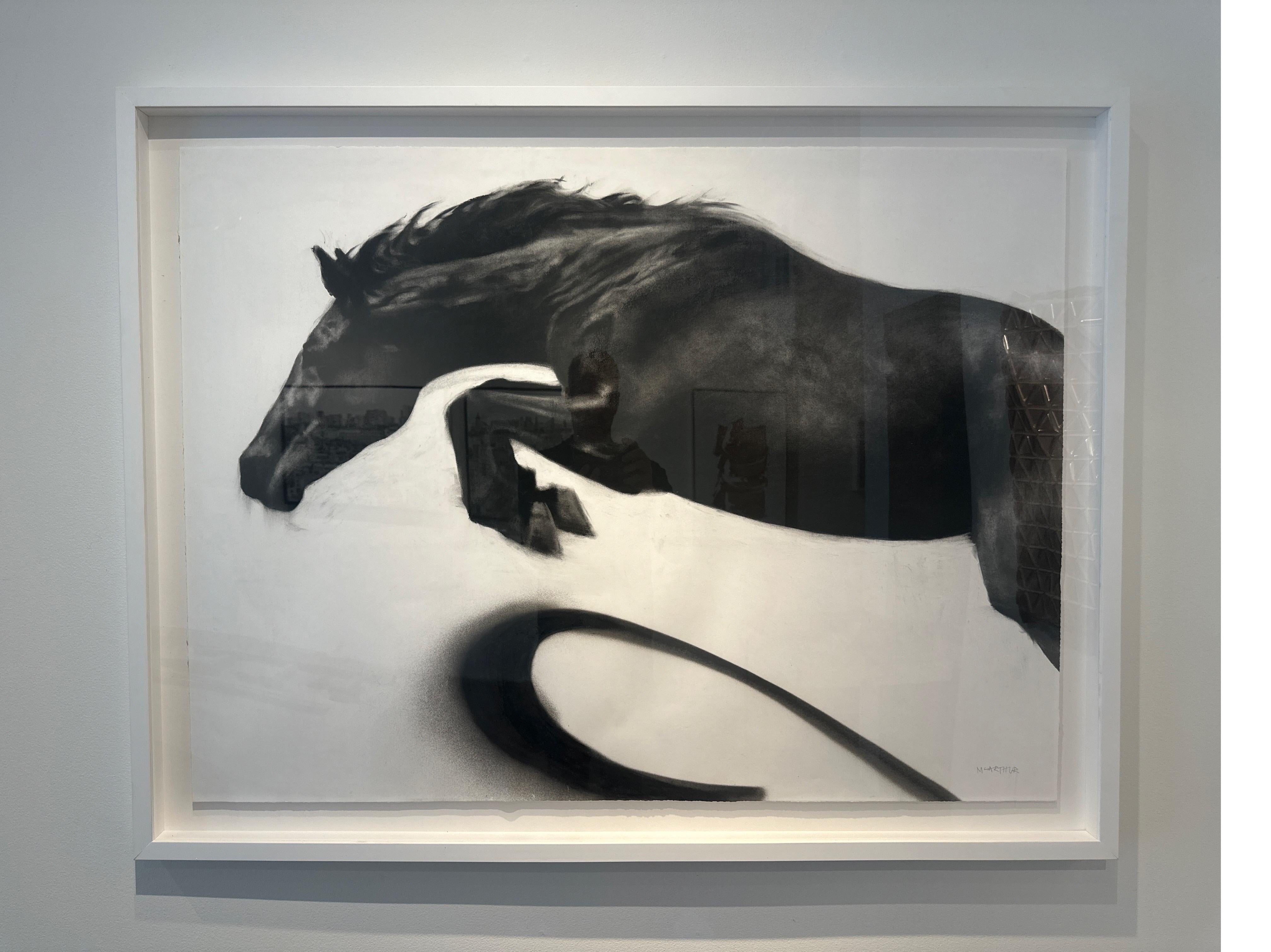 Momentum, dynamic realistic Horse drawing, charcoal on paper - white box frame - Painting by Patsy McArthur