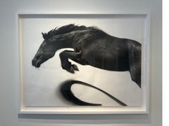 Momentum, dynamic realistic Horse drawing, charcoal on paper - white box frame