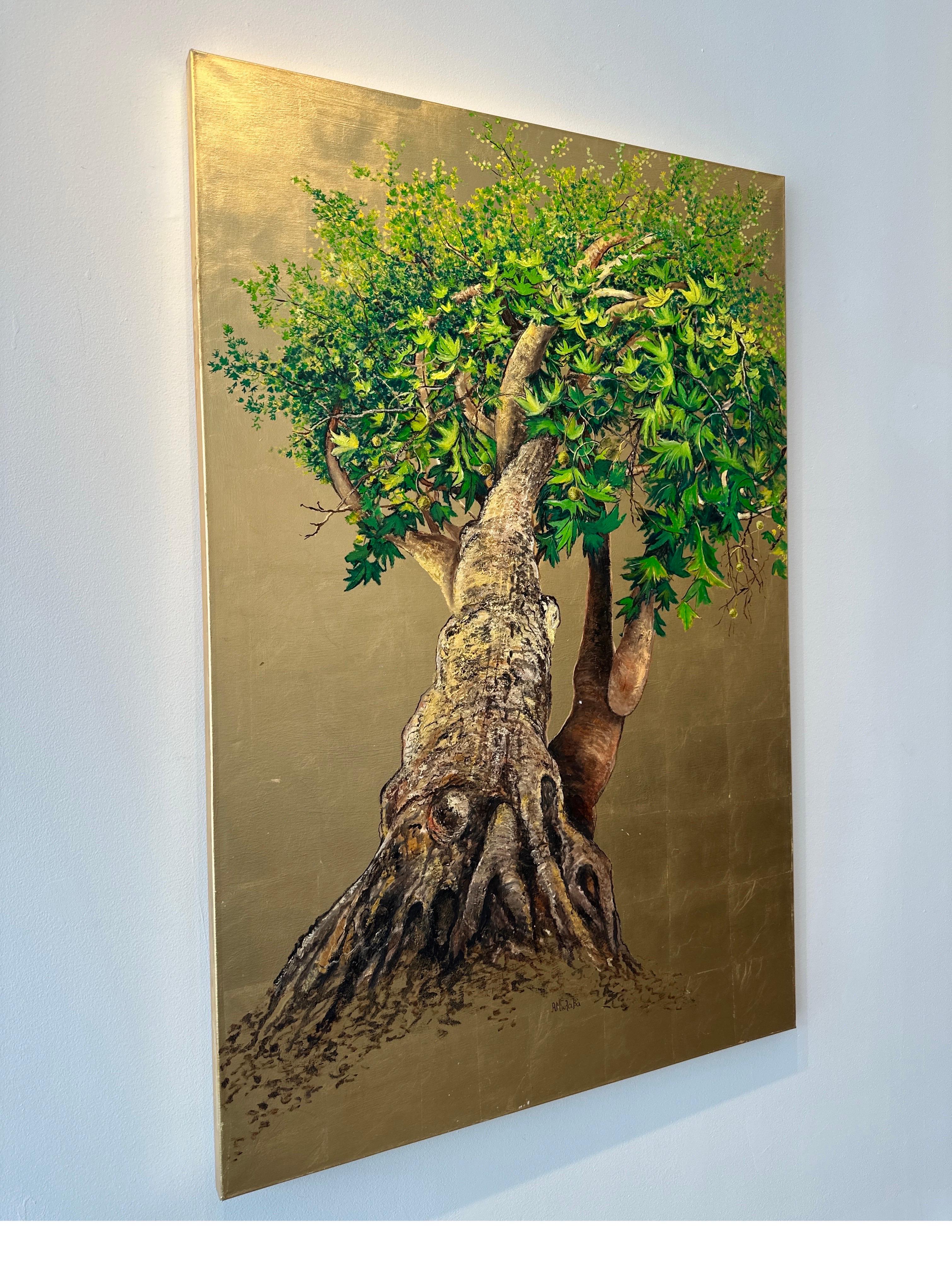 Platanus, el Árbol de la Alegría y la Curación, Pintura al óleo sobre lienzo con pan de oro en venta 1