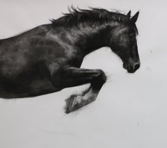 Realist Drawings and Watercolor Paintings