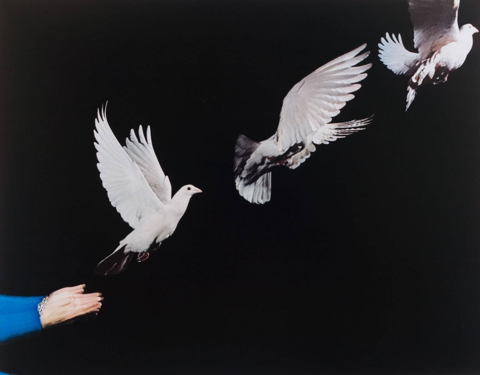 Harold Edgerton Color Photograph - Pigeon Released