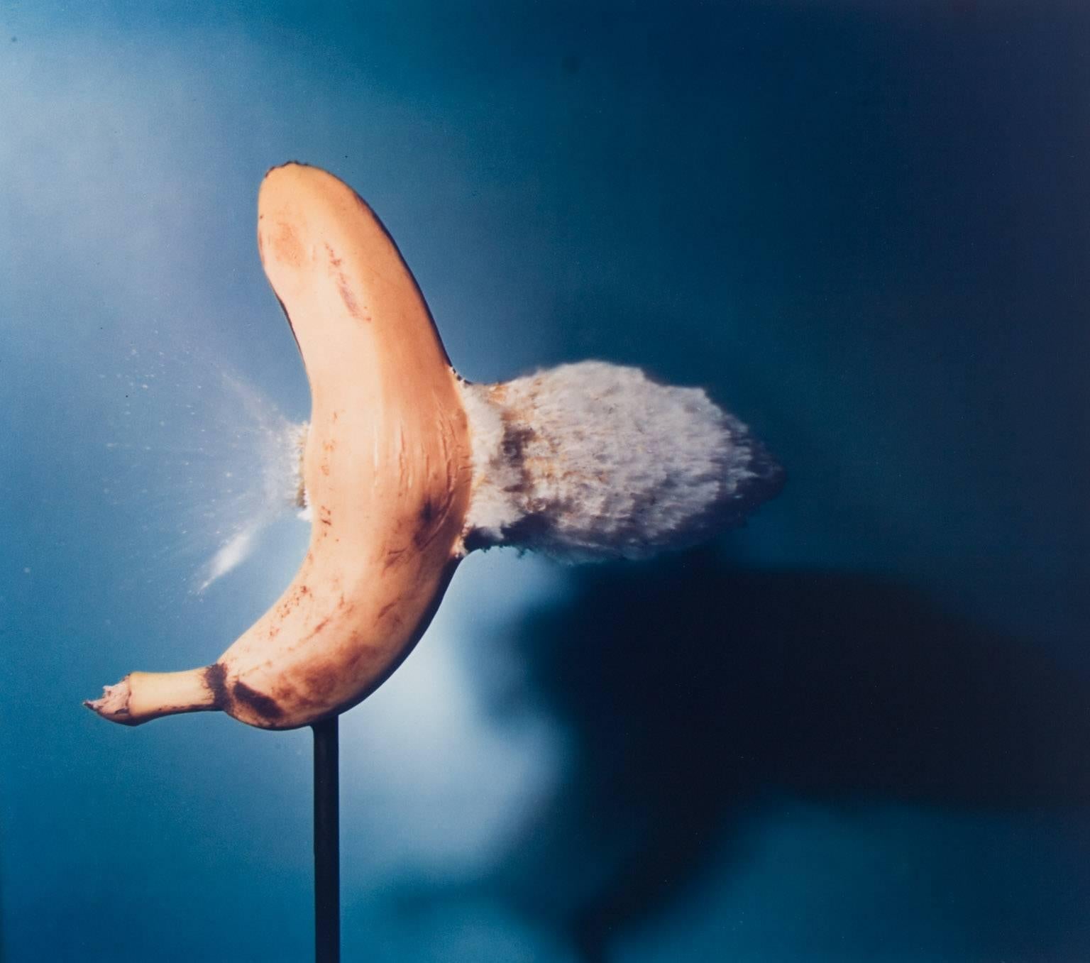 Harold Edgerton Color Photograph - Bullet through Banana