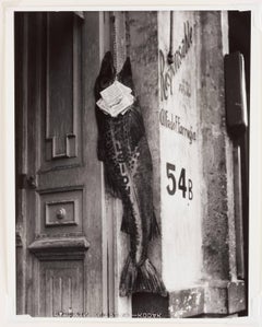 The Big Fish Eats the Little One