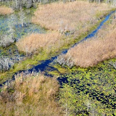 Grand Bay, Georgia