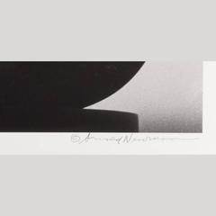 Igor Stravinsky, New York City