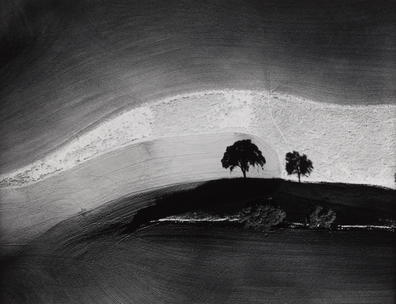 William Garnett Abstract Photograph - Two Trees on Hill with Shadows, Paso Robels, CA